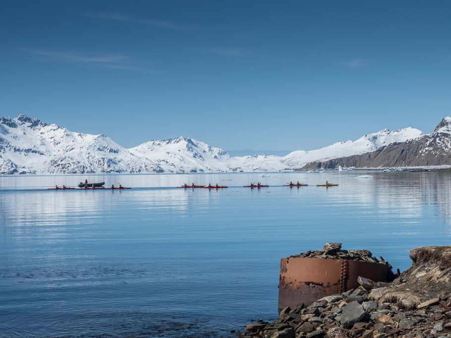 Kayaking at Grytviken - South Georgia