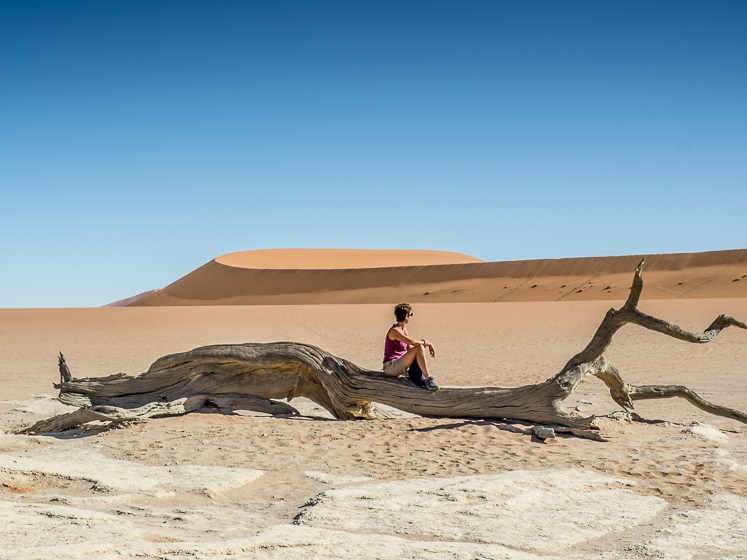 Model and Dune