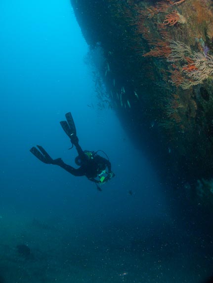 Bow and Diver - Swan Wreck