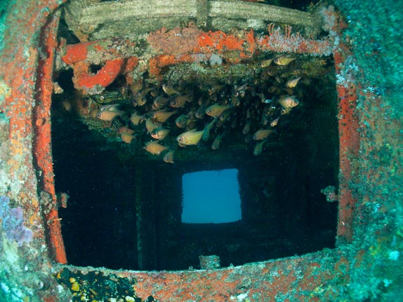 Through Way - Swan Wreck