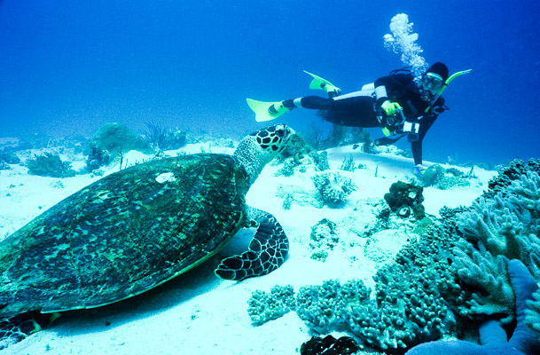 Nicole and Turtle