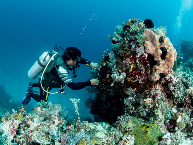 Benni and Coral - Batu Tiga