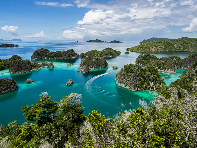 View from the Lookout
