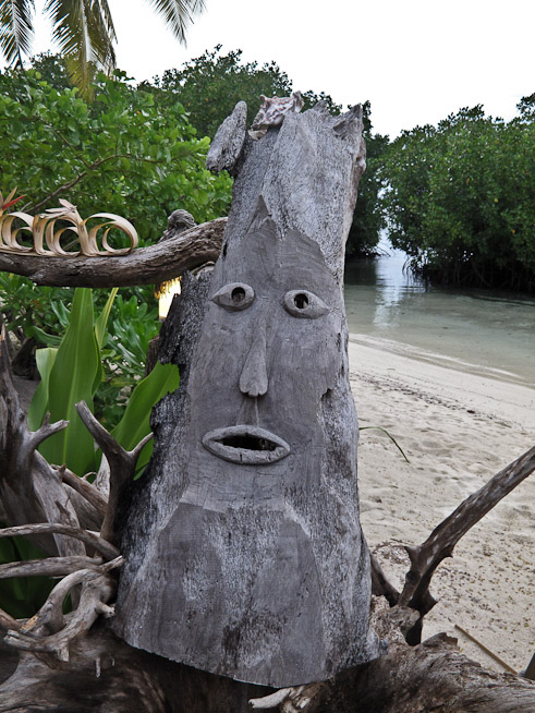 Driftwood Art - Dive Resort