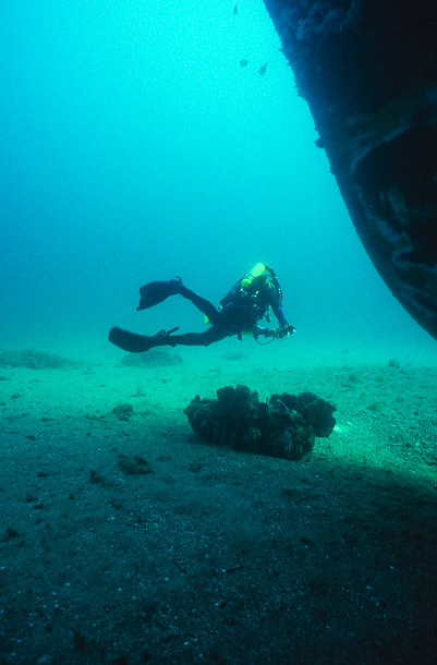 Dave at Bow