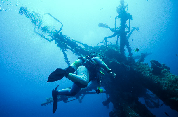 Crows Nest