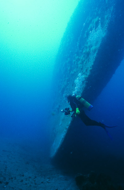 Gill on Bow