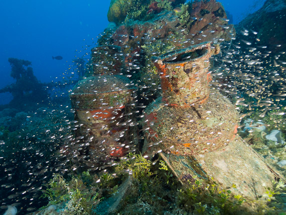Lantern and Glassfish - Unkai Maru