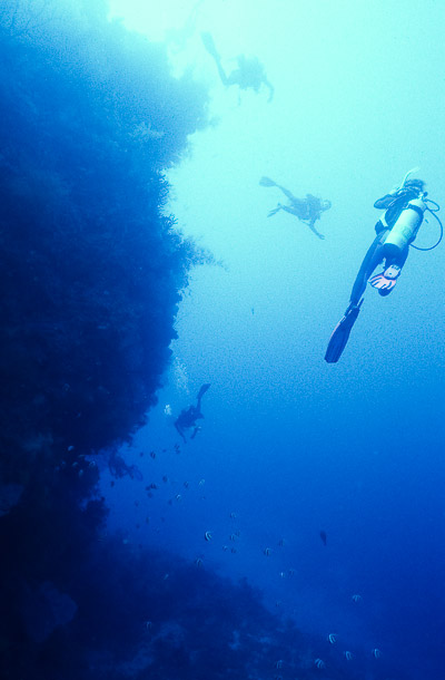 Planet Reef - Kavieng