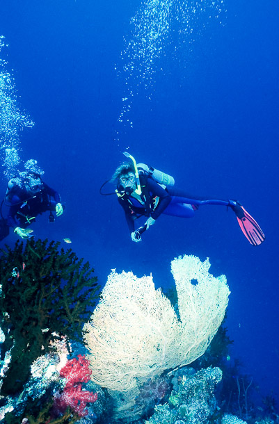 Marian and Jim with Seafan