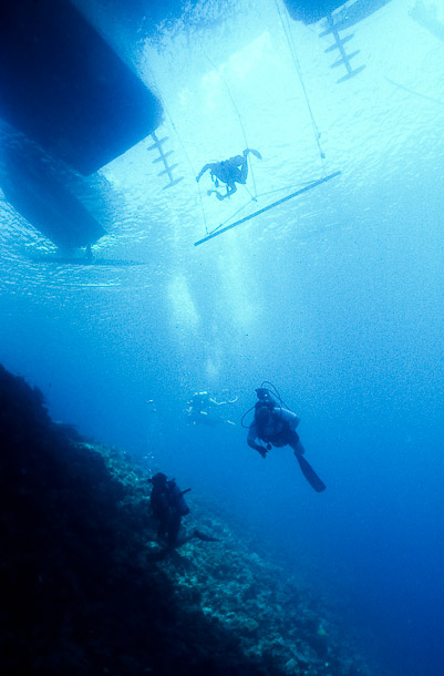 Planet Reef - End of Dive