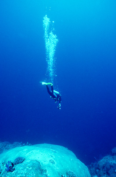 Nic on the Edge - Clerk Wall, Clerk Reef