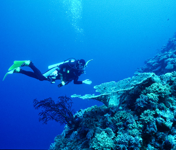 Nic and Coral - Labyrinth North, Clerk Reef