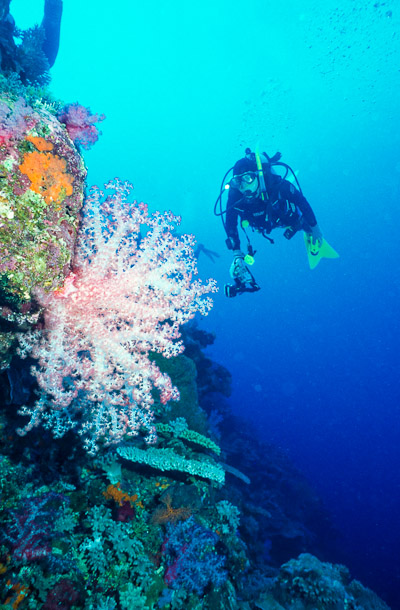 Nic and Soft Coral - South Park, Clerk Reef