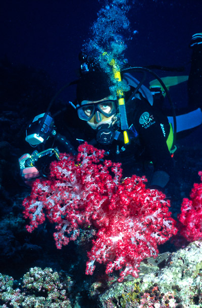 Nic and Soft Coral - Labyrinth, Clerk Reef