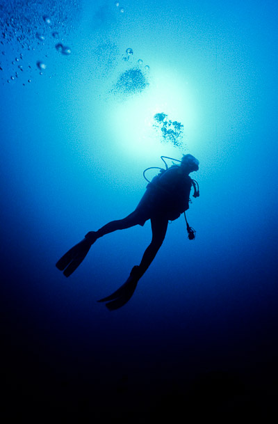 Hayley Silhouette - V-in-the-Wall, Mermaid Reef