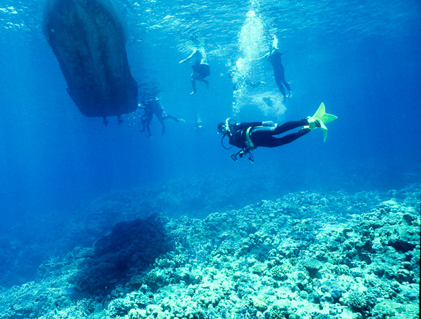 End of Dive, Gutters, Mermaid Reef